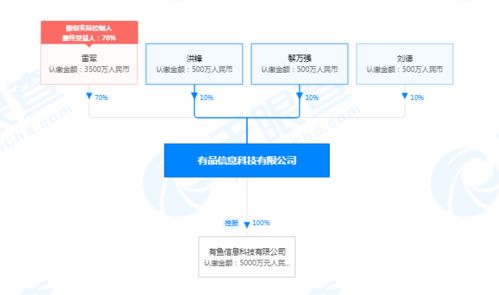 小米有品业务扩展 新增家用电器安装与信息系统运维服务